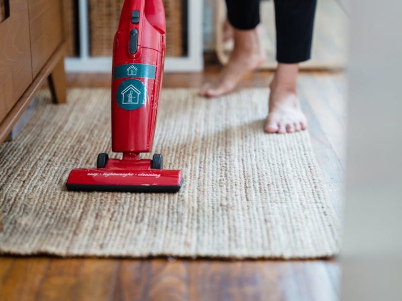 Pet Hair Nightmare? How Robot Vacuums Offer a Fur-Free Solution