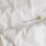 Oli Anderson Seersucker Comforter Sets: Patchwork Floral Bedding That Actually Holds Up
