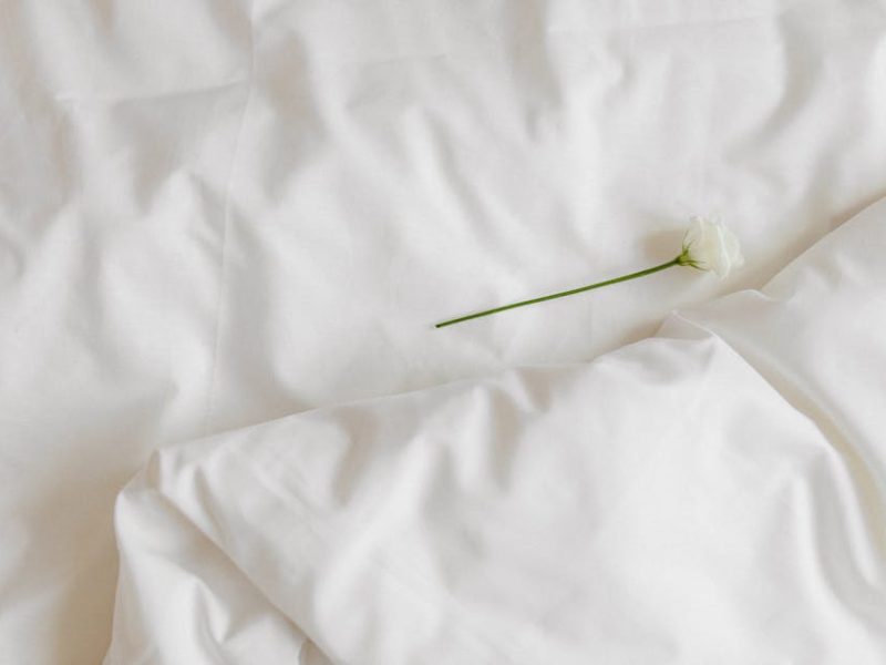 Oli Anderson Seersucker Comforter Sets: Patchwork Floral Bedding That Actually Holds Up