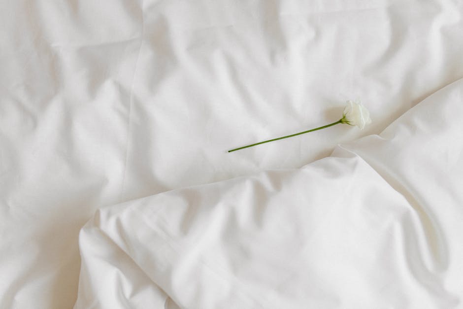 Delicate white rose placed on subtle white fabric for a minimalist and serene composition.