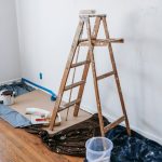 Home Pest Control: What Works and What Wastes Your Money