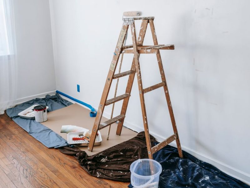 Home Pest Control: What Works and What Wastes Your Money