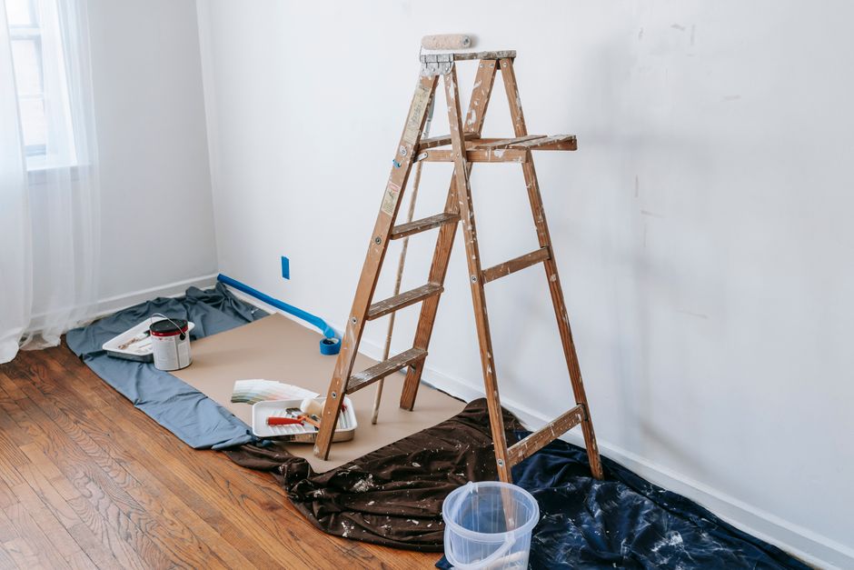 Home Pest Control: What Works and What Wastes Your Money
