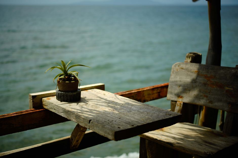 A rustic wooden chair and table with a potted plant by the ocean, exuding tranquility and a natural vibe.