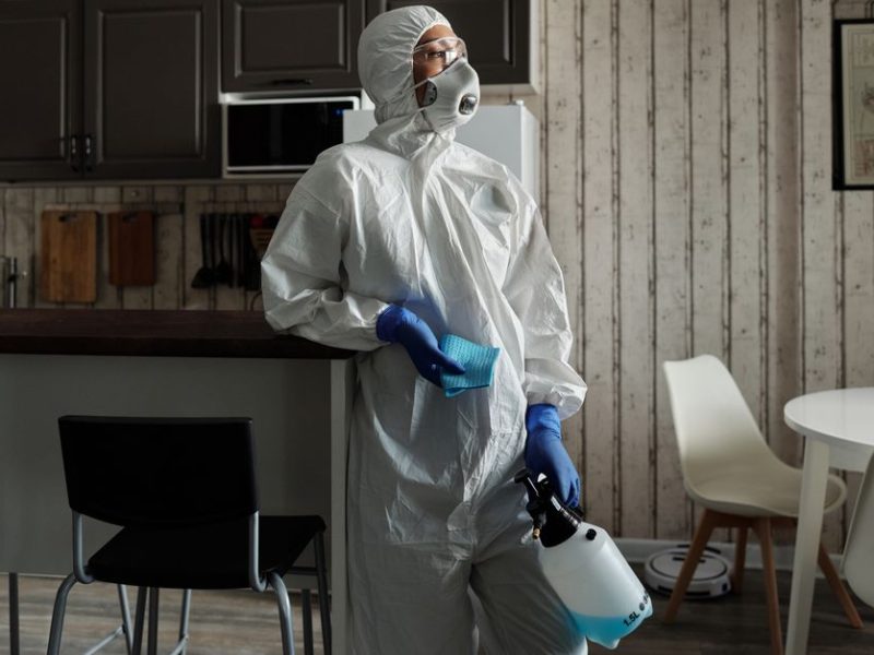 Pest Control London: The Real Problem With Standard Treatments