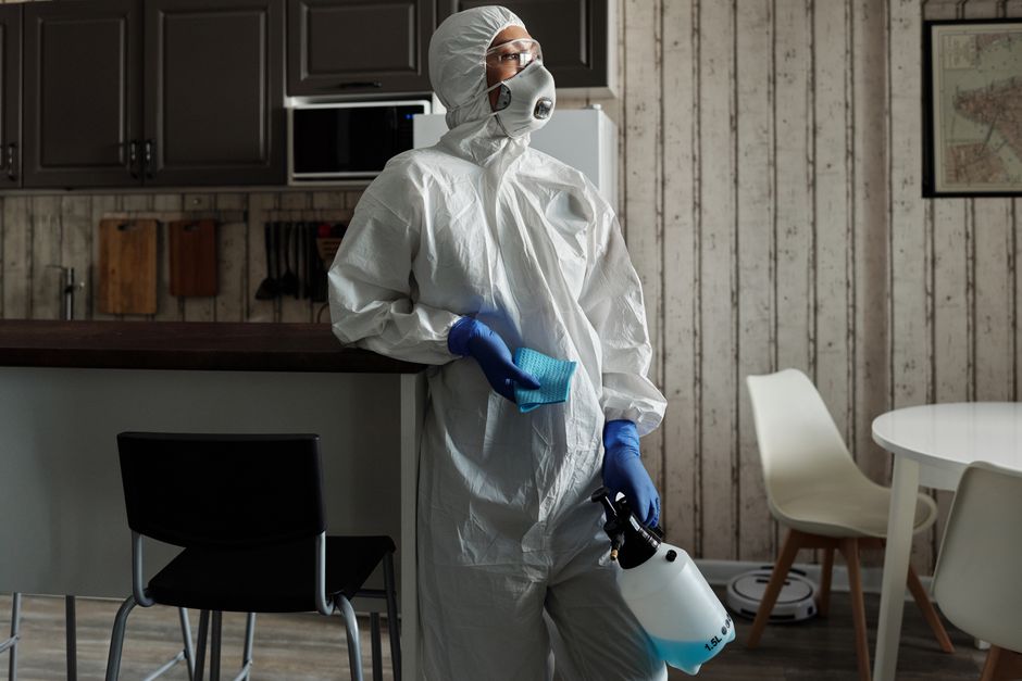 Pest Control London: The Real Problem With Standard Treatments