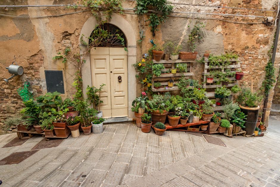 A quaint doorway surrounded by potted plants in a vibrant urban garden display.