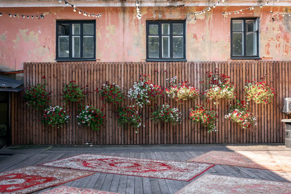 A picturesque courtyard featuring hanging flowers and patterned carpets against a rustic wood fence.