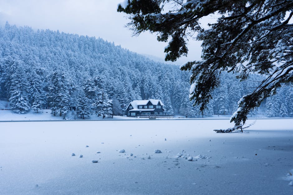 A serene winter landscape with a snowy house in Bolu, Türkiye.